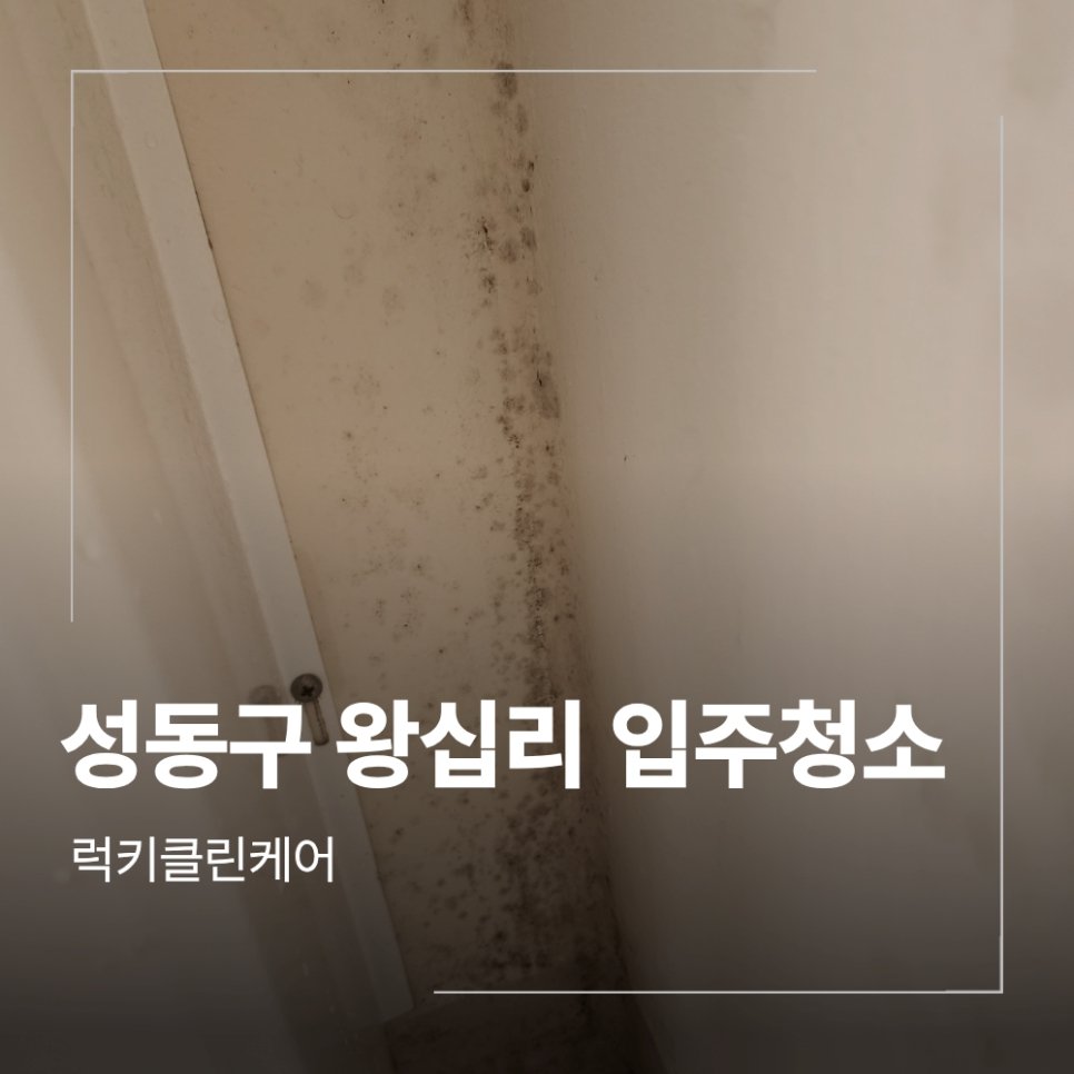 성동구 왕십리 입주 청소 텐즈힐 아파트 곰팡이제거